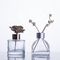 De gerecycleerde Duidelijke Flessen van de Glasverspreider/In reliëf gemaakte Aromatherapy-Glasflessen